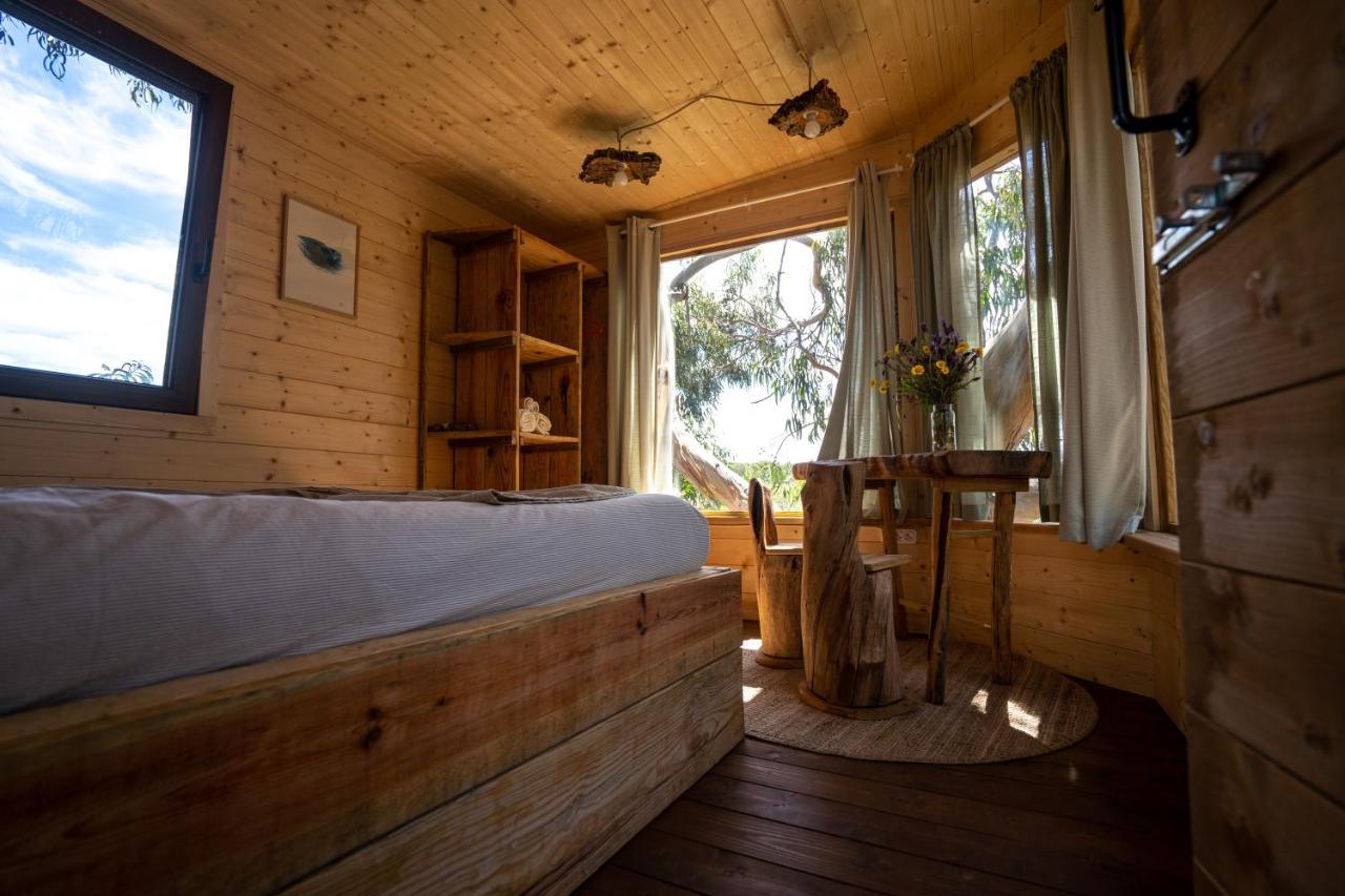 Soul Farm Algarve - Glamping & Farm Houses 알제주르 외부 사진