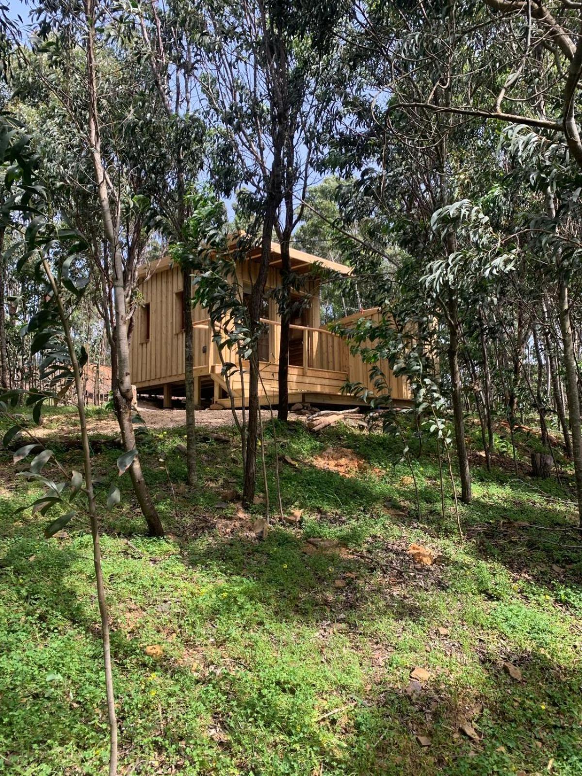 Soul Farm Algarve - Glamping & Farm Houses 알제주르 외부 사진